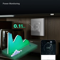 Prise intelligente Tuya Diglee pour la maison intelligente, application de commande à distance, minuterie, surveillance de la consommation d'énergie, prise murale standard européenne