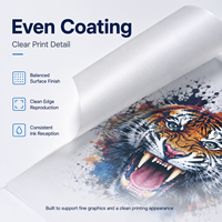 Film PET DTF en gros A3 A4 100 feuilles, film de transfert thermique double face pour imprimante DTF