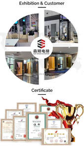 מעלית ביתית קטנה 450 ק\\\"ג 3-12 מטר, טכנולוגיה מתקדמת, מעלית תיירותית 2 קומות, מעלית נוסעים לשימוש ביתי פנימי/חיצוני - Product Image 5