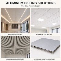 Panel de Techo de Aluminio Revestido de Alta Calidad, Ignífugo, Insonorizante, Color RAL Personalizado, Techo Falso Metálico para Hotel