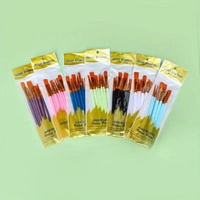 Ensemble de 10 pinceaux à poils en nylon avec manches en plastique pour peinture à l'huile, acrylique et gouache, fabriqués en Chine