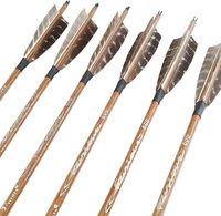 Flèches de tir à l’arc en carbone avec pointes, 30 ou 32 pouces, rigidité 300/400/500/600, pour arcs composites et inversés, 12 pièces