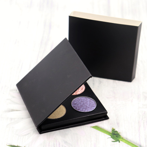 DIY 4 Couleurs Lumineux Néon Glitter Mat Shimmer Palette de Maquillage Poudre Ombre à Paupières Hautement Pigmentée - Product Image 4