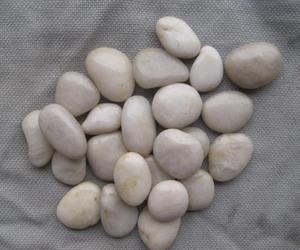 Bán Gạch Lát Sàn Sân Vườn Ngoài Trời Sỏi Trắng - Product Image 2