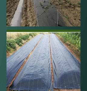 <span class=keywords><strong>La</strong></span> tela antihierbas de PP suele ser tejida con hilo plano de polipropileno (PP) o una mezcla de PP y polietileno (PE). - Product Image 5