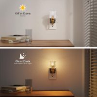 Veilleuses à intensité variable LOHAS, décoration de vanité, capteur crépusculaire, veilleuse LED vintage en verre en forme de fleur pour chambre et couloir