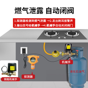 Detector de Gas Licuado de Petróleo Byxym Qd212 con Alarma de Apagado Automático y Zumbador de Alta Frecuencia, Origen Shenzhen - Product Image 3