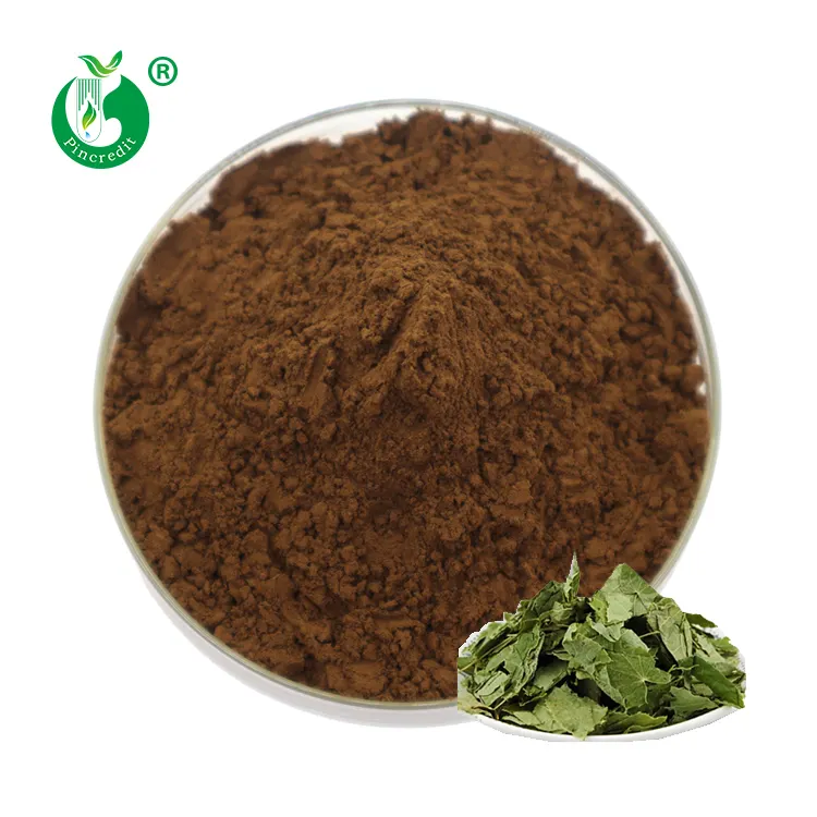 Wholesale Hot Sale 20% Pure Icariin Horny Goat Weed Epimedium Extract Powder