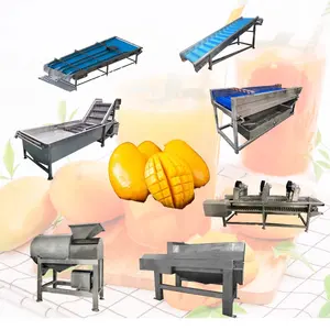 commercial vegetable apple mango cassava slicing washing drying machine dried fruit chips production line