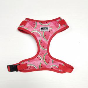 カスタマイズされたペットの犬のハーネス襟のファッションセット調整可能な犬のベストカラーボウノットと犬の鎖 - Product Image 3