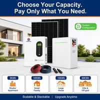 Batería de Litio Solar Lifepo4 de 48V 51.2V 200Ah 10Kwh 15Kwh 20Kwh 30Kwh para Panel Solar, Montada en Pared