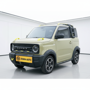 <span class=keywords><strong>Auto</strong></span> <span class=keywords><strong>Usado</strong></span> 2024, Panda Knight Mini EV, Autonomía de 200 KM, 3 Puertas, 4 Plazas, Hatchback, Velocidad Máxima de 100 km/h, Vehículo de Nueva Energía, <span class=keywords><strong>Auto</strong></span> Económico - Product Image 1