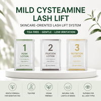 Fabricant professionnel OEM ODM de kits de rehaussement de cils à la cystéamine, marque privée, végétalien, sans TGA, rehaussement de cils coréen en gros
