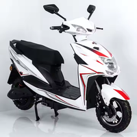 Nouvelles motos électriques 1000W Brushless 48V60V pour vélo adulte