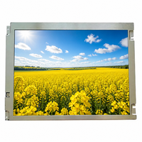 Modul LCD TFT TN SVGA 10,4 Inci NLT NLB104SV01L-01 800x600 LVDS WLED Backlight 400cd/m2 Kecerahan Tinggi Layar Industri