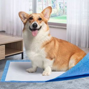 Ventes en gros de tapis d'entraînement pour chiens écologiques avec échantillon gratuit - Économique - Product Image 3