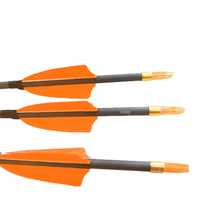 Arc Composé Réglable AMEYXGS JUNXING X8 - 20 à 70 Lbs - Kit Complet Droitier