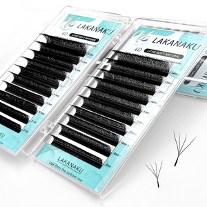 Extensions de cils personnalisées avec logo, souple, 0.07 YY, plateaux de cils en vison Clover, fournitures de cils pré-faits, volume noir mat 4D W - Product Image 2