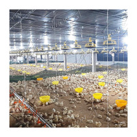Bâtiment d'élevage de poulets de chair à prix abordable en Chine
