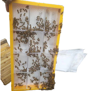 New Beekeeping Supplies Plastic Honey Frames & <b>Foundations</b> 1 Year Warranty Honey Comb Making Box - Product Image 1