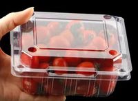 Récipient biodégradable personnalisé pour aliments à clapet 125g 250g 500g Supermarché d'emballage en plastique transparent avec filet de paille pour fraises fraîches