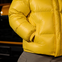 Fabricant OEM, veste d'hiver courte et épaisse en duvet pour homme, style streetwear personnalisé, veste bomber brillante en duvet pour homme