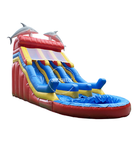 2020 Thiết Kế Mới PVC Ngoài Trời Mùa Hè Inflatable Dolphin TRƯỢT KÉP Trượt Và Trượt Nước Trượt Với Hồ Bơi Để Bán - Product Image 1