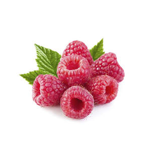 Extrait de framboise anthocyanine 20% 25% - Product Image 4