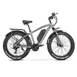 2014 new 26-inch 750W 48V E-BIKE all-terrain bicycle fat tire e-bike mountain electric bicycle beach snow electric bicycle