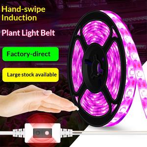 Bande lumineuse LED USB pour plantes avec <span class=keywords><strong>variateur</strong></span> tactile, étanche IP65, spectre complet pour succulentes d'intérieur, semis - Product Image 2