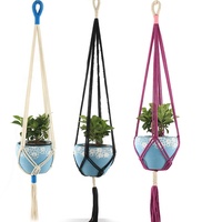 Colorful Macrame Plant Hanger