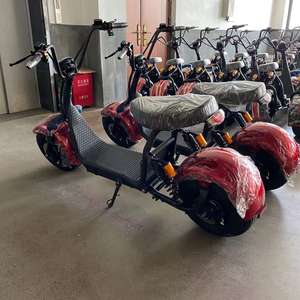 Scooter électrique à batterie lithium amovible, 25 km/h, 350 W, 60 V, pour adultes, entrepôt européen, Citycoco - Product Image 5