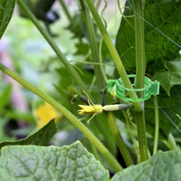 100 attaches de soutien pour plantes, clips réutilisables en plastique pour vignes de jardin, pour légumes et tomates, fournitures de jardinage