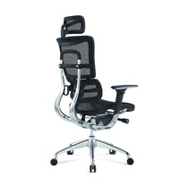 Chaise de bureau pivotante confortable pour ordinateur, chaise ergonomique, chaise en maille respirante avec dossier réglable pour le personnel de bureau