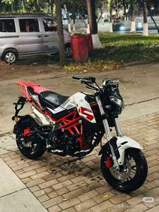 <span class=keywords><strong>Mini</strong></span>-<span class=keywords><strong>moto</strong></span> <span class=keywords><strong>Benelli</strong></span> Little Tyrant 150cc pour les trajets urbains, motos et cyclomoteurs d'occasion - Product Image 6