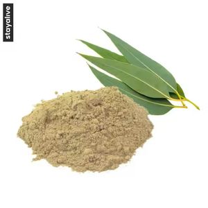 El mejor polvo de eucalipto Natural puro de calidad alimentaria, extracto de hoja de Staigeriana Globulus, excelente para la salud de la piel, tambor envasado al vacío - Product Image 3
