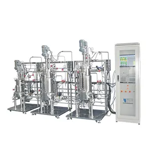 bioreactors in biotechnology describe the process of fermentation parallel stainless steel fermenter