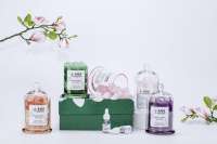 Vente en gros machine à parfum pour la maison four diffuseurs essentiels pour la maison prise murale en verre léger pierre de cristal d'aromathérapie aromatique