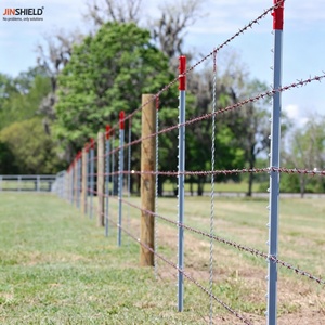 เสาเหล็กชุบสังกะสีแบบจุ่มร้อน รุ่น T สำหรับ<span class=keywords><strong>รั้ว</strong></span>ฟาร์มและ<span class=keywords><strong>รั้ว</strong></span>เกษตรกรรม - Product Image 6