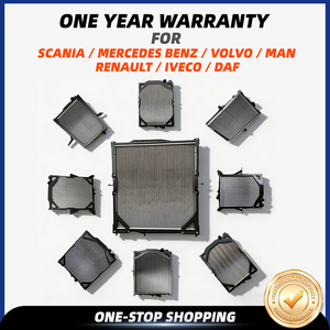 <span class=keywords><strong>Intercooler</strong></span> pour MERCEDES BENZ pour VOLVO / SCANIA / MAN / RENAULT / <span class=keywords><strong>DAF</strong></span> / IVECO Pièces de camions - Product Image 1