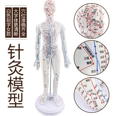 Modèle féminin blanc 48CM