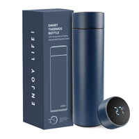 Bouteille d'eau de 500 ml avec affichage de la température LED, bouteille à double paroi, infuseur à thé intelligent, tasse thermique en acier inoxydable, gobelet de voyage