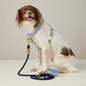 Produttore Diretto OEM, Forniture Personalizzate per Animali Domestici, Imbracatura per Cani a Quadri per Corsa, Personalizzabile con Chiusura a Fibbia Dorata - Product Image 2