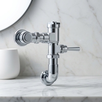 Valve de chasse d'eau à commande manuelle à temporisation douce, design moderne, économie d'eau, avec coude, pour usage en hôpital/appartement/hôtel