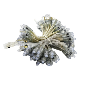 Wow Ws2811 Không Thấm Nước PVC LED Hạt Ma Thuật Màu Sắc Ánh Sáng Chuỗi Cho Vườn Quảng Cáo Sáng Từ Chương Trình Tiếp xúc Hoạt Hình - Product Image 1