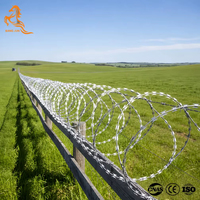 Fil barbelé galvanisé à spirale simple, anti-vol, anti-escalade, pour clôture de sécurité extérieure et protection périmétrique des murs