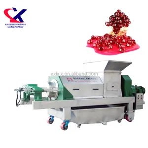 Advanced design single screw juicer machine for grape juice 20t/h single screw augers