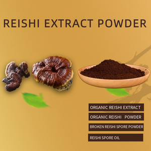Wholesale Bulk Reishi Extract Powder <strong>Lingzhi</strong> Mushroom Extract <strong>Ganoderma</strong> Lucidum - Product Image 6