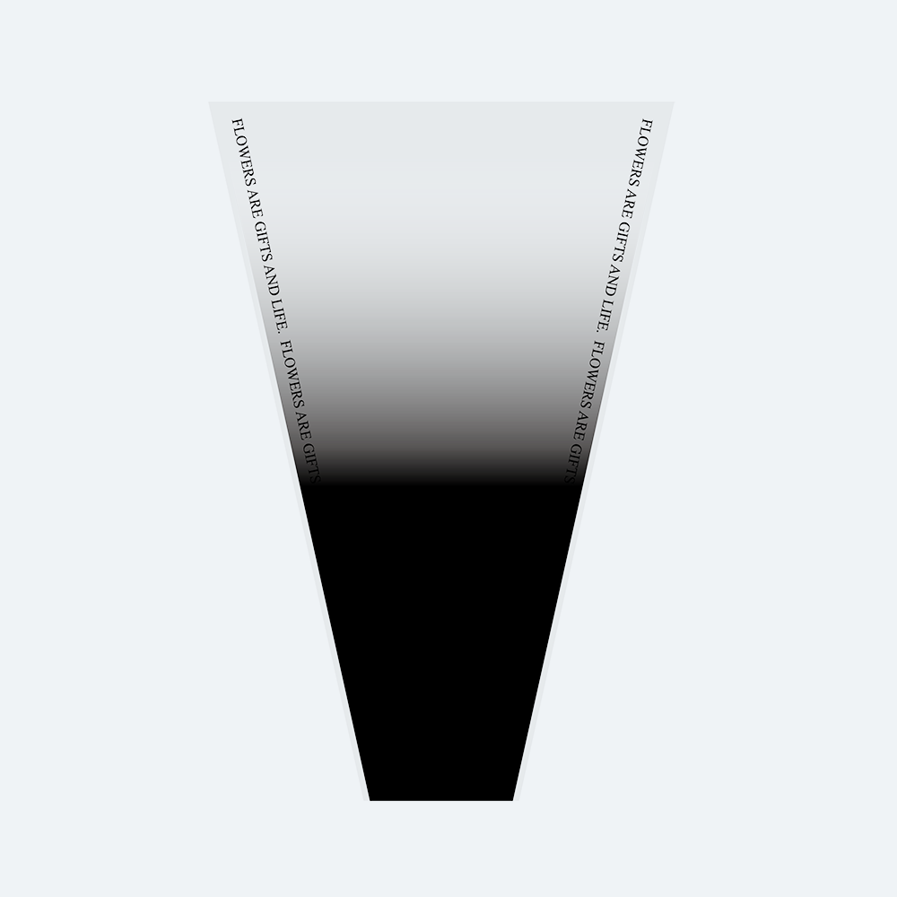06 Black