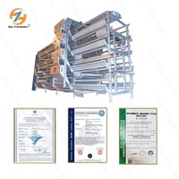 Nouvelle cage à batterie automatique de type H Zhuoyi en alliage d'aluminium, taille personnalisée, longue durée de vie, pour usage en élevage avicole, garantie 1 an